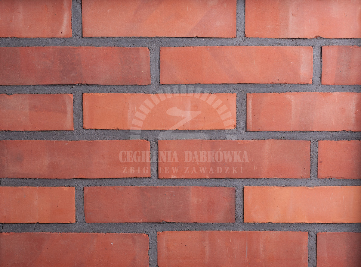 Cegła na ścianę CE, tradycyjna cegła licowa bez mocnych przebarwień i przepaleń, klasyczny wygląd cegły