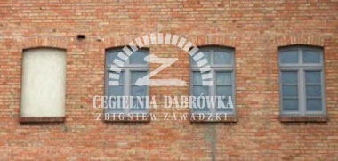 Cegły do przemurowań w pałacu Sapiechów