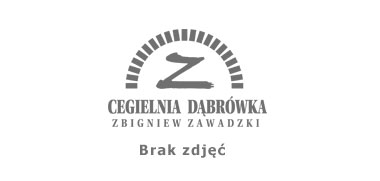 Cegły do przemurowań w pałacu Sapiechów