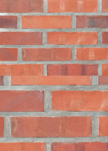 Cegła licowa CE / S1 - mix cegieł elewacyjnych na ścianę, cegły z delikatnymi przebarwieniami