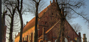 Cegły do przemurowań w pałacu Sapiechów